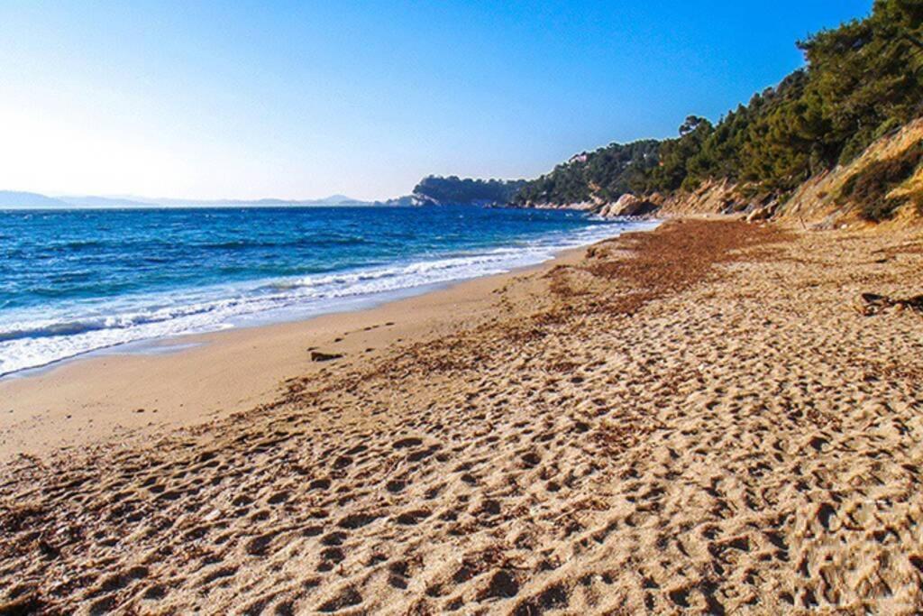 Superbe T2 Lumineux 3*** 10 Mn A Pied De La Plage Apartment Le Pradet Exterior photo